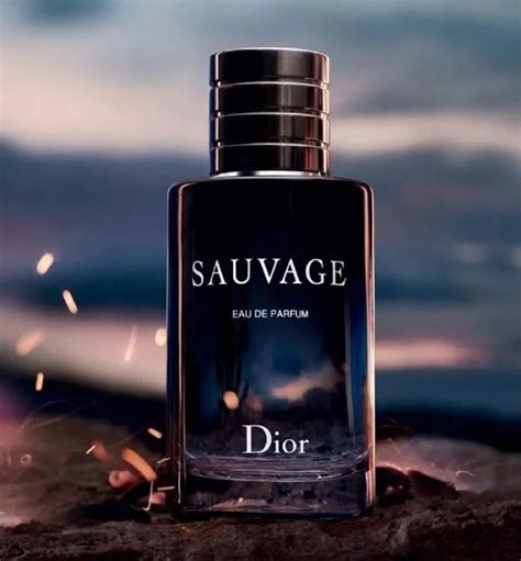 dior sucks|Dior sauvage reviews.